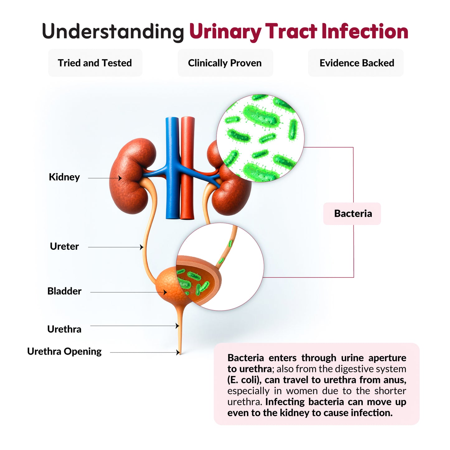 Nutriwave UT Health