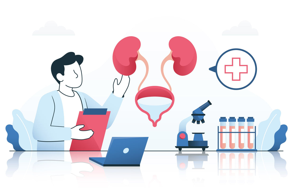 What Causes Frequent UTIs and How to Stop Them? 