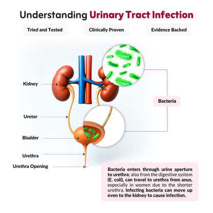 Nutriwave UT Health