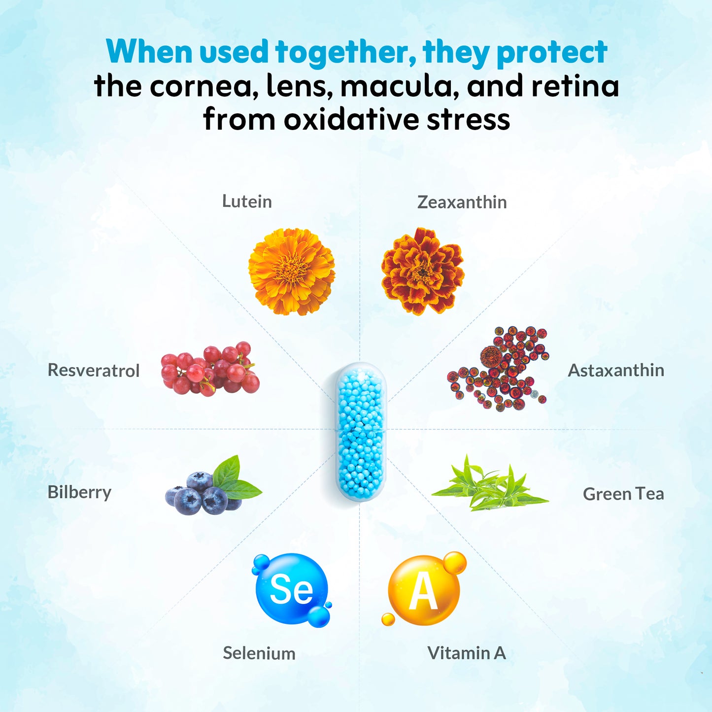 Nutriwave Vision