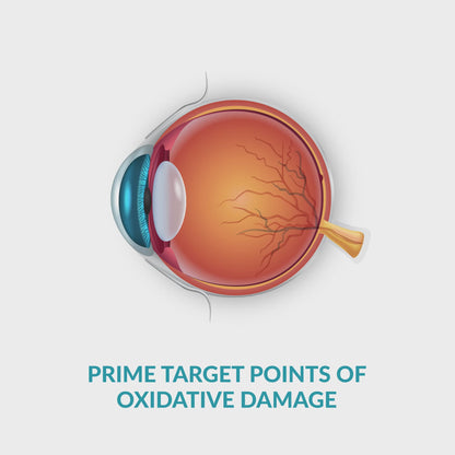 Nutriwave Vision